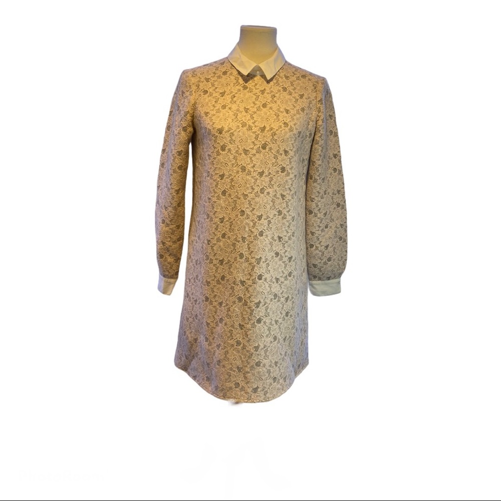 BCBG MAXAZRIA Long Sleeve Lace Dress (XS)